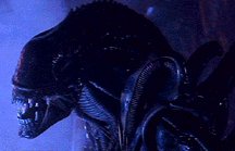Adult alien