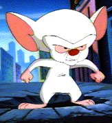 The Brain