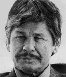Action man, Charles Bronson