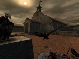 Image of dnfpic10.jpg
