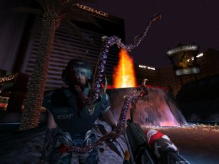 Image of dnfpic3.jpg