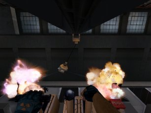 Image of dnfpic7.jpg